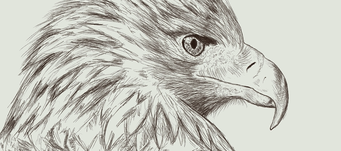 https://www.nataliarumyantseva.com/wp-content/uploads/cWqXba/2022/05/drawing-animals-700x310.png